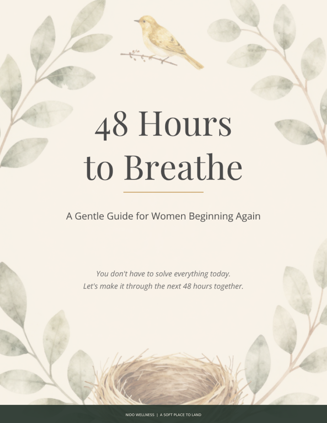 48 Hours to Breathe ebook cover